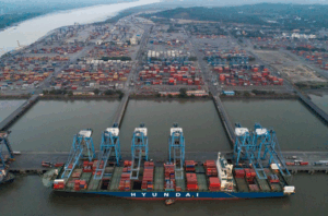 DOLPHIN EQUIPMENT SPARE REPAIR SUPPLIER IN JAWAHARLAL NEHRU PORT